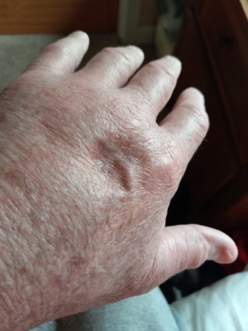 thumbnail Resized Resized 20240203 111700 438425576461122 (1)