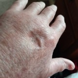 thumbnail_Resized_Resized_20240203_111700_438425576461122-1